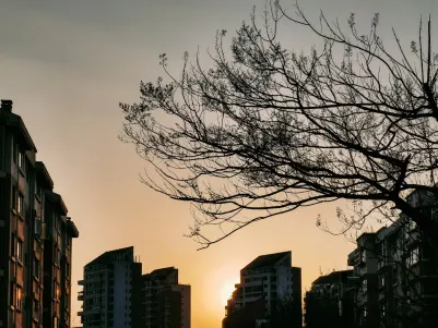 Casino Craze Play Mobiele App